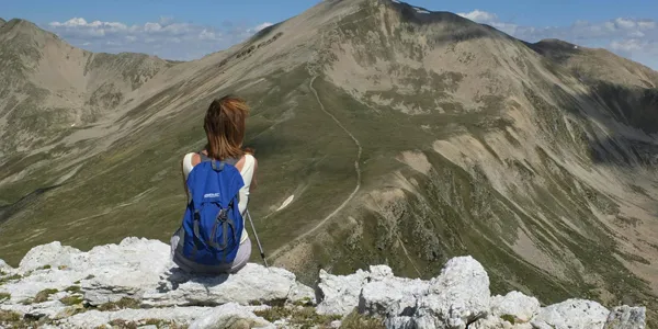 Ročno izdelana Katana, odporna na prihodnost. Eleganca, moč, brezčasnost.